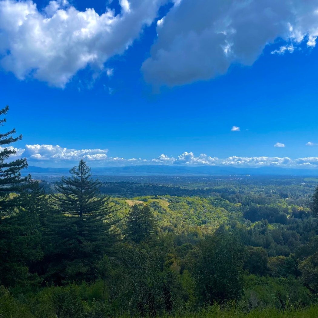 Woodside Ramble 3